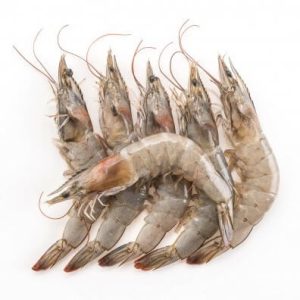 Fresh-Medium-prawns-ready-for-online-seafood-delivery-in-pakistan