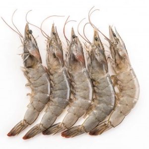 Fresh-Prawns-for-online-fish-delivery-in-pakistan