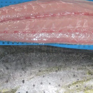 mahi mahi fillet