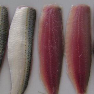 sardine fillet