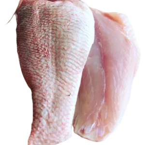 snapper fillet